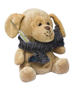 teddy-242885_640