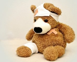 teddy-562960_640